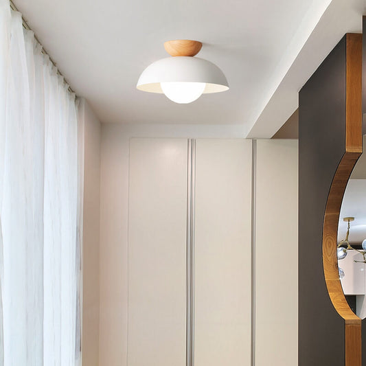 Nordic Dome Iron & Glass Light