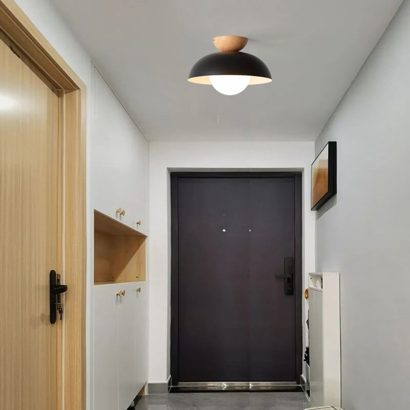 Nordic Dome Iron & Glass Light