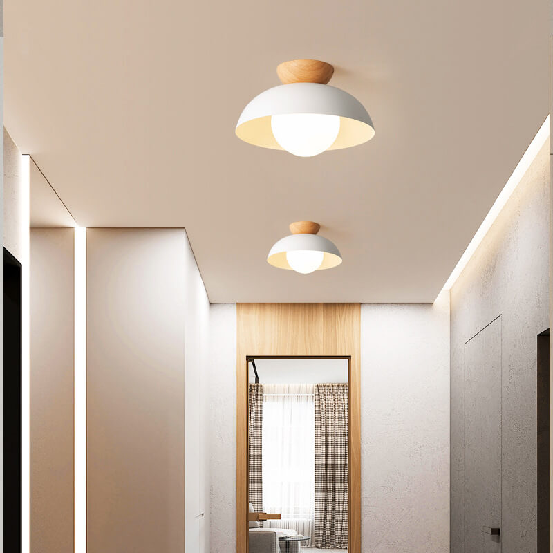 Nordic Dome Iron & Glass Light