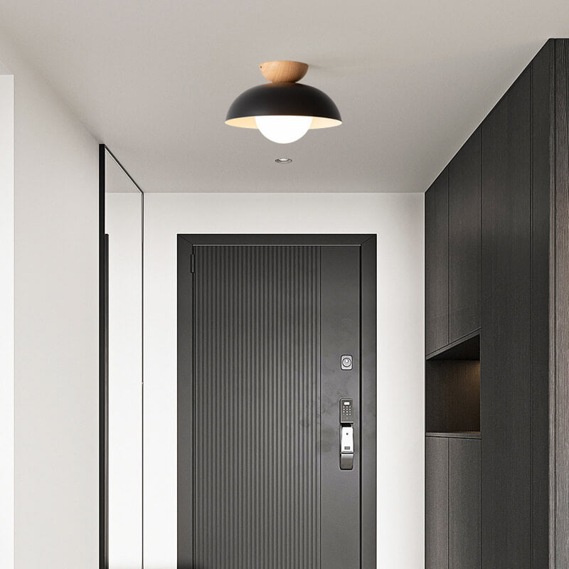 Nordic Dome Iron & Glass Light