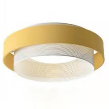 Nordic Post-Modern Acrylic Flush Light
