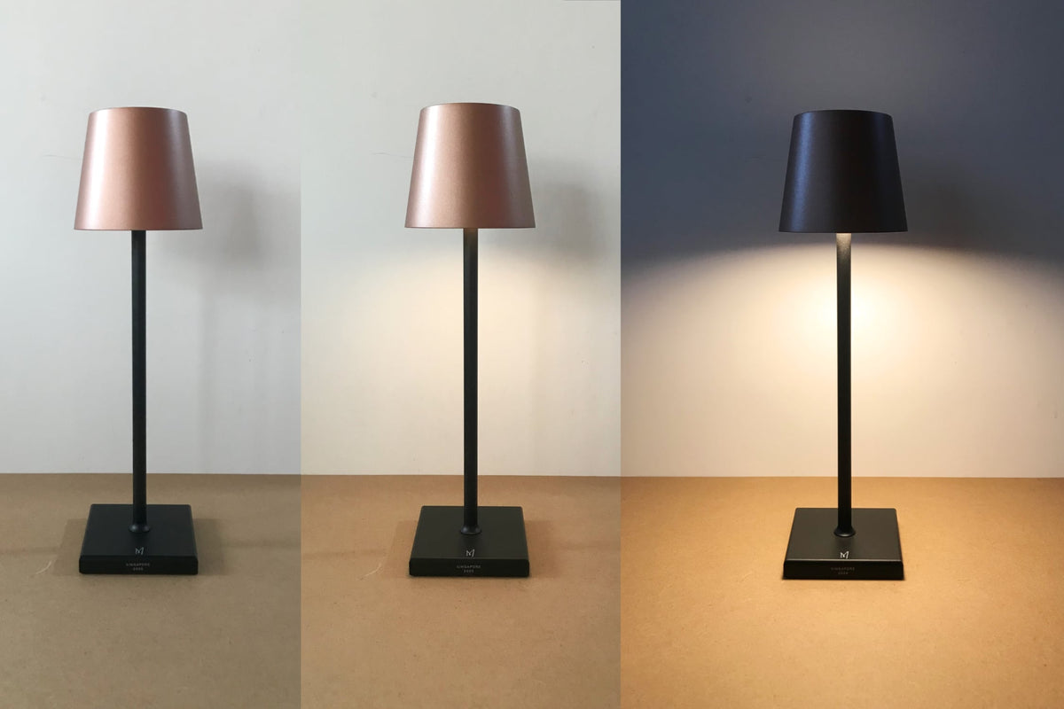 LD Aoki EE Rechargeable Lamp