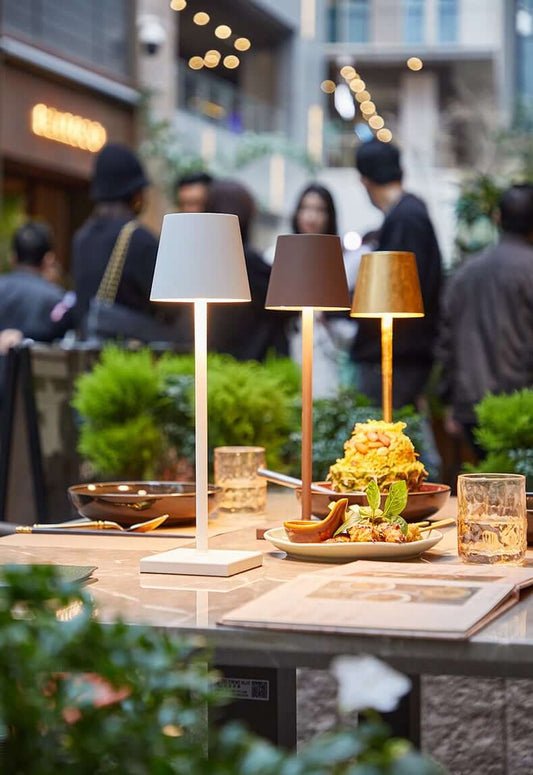 LD Aoki EE Rechargeable Lamp